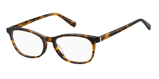 Pierre Cardin P.C. 8488 Glasögon